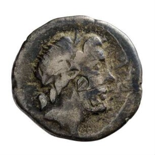 Münze, Quinar, 81 v. Chr.