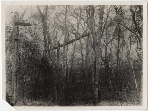 Vestiges d'une ancienne colonie portugaise dans la forêt près de la Cabeceira do Cedral