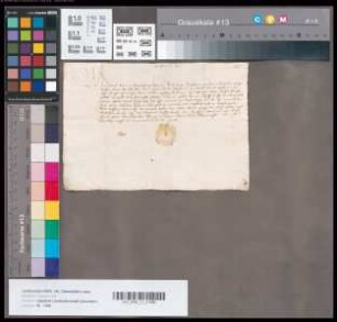 Graf Johann zu Spiegelberg quittiert seinem Schwiegervater Bernhard VII. zur Lippe den Erhalt von 100 Rhein. Gl.