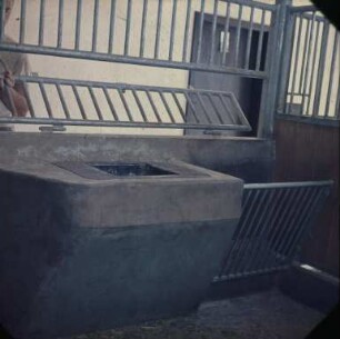 Fotografie: Pferdehaltung, Boxenstall, Fütterungstechnik