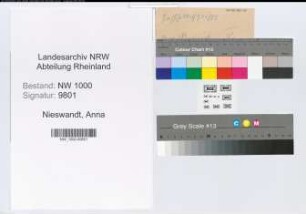 Entnazifizierung Anna Nieswandt, geb. 10.06.1901 (Krankenpflegerin)