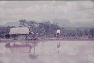Reisefotos Asien. Bauer neben einer Hütte an einem Reisfeld?