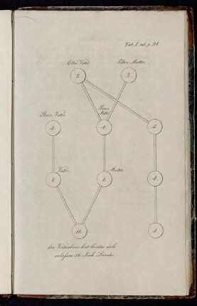 Tab. I. ad p. 98. - Tab. II. ad p. 98.