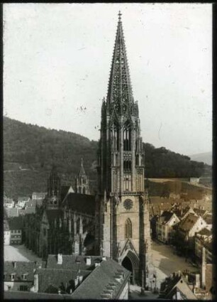Das Freiburger Münster