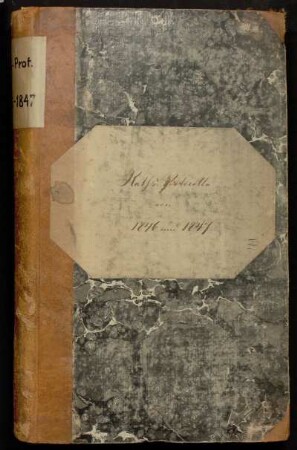 Ratsprotokolle 1846-1847
