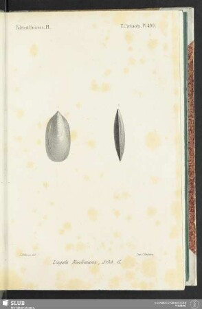 Pl. 490