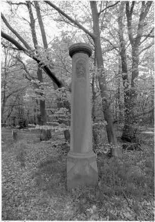 Grenzsäule an der Saalburg; Bad Homburg, Friedrichsdorfer Stadtwald (B 456)