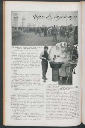 Tipos de Longchamps