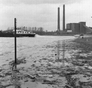 Rheinhochwasser.