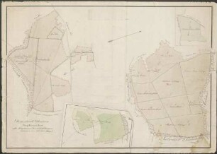 Oberforstamt Odenheim. Mingolsheimer Forst. Die Mingolsheimer Gemeinds-Waldungen