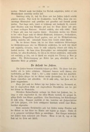 Die Aufzucht des Fohlens.