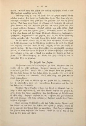 Die Aufzucht des Fohlens.