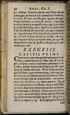 Exegesis