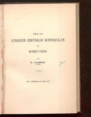 Über die Struktur centraler Nervenzellen bei Wirbeltieren