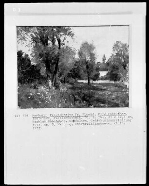 Parklandschaft