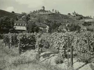 Radebeul, Oberlößnitz. Weinbau, Spitzhaushang, Spitzhaus und Bissmarckturm