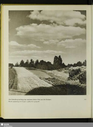 Der Schloßberg in Burg, ein sagenumwobener Wall aus der Frühzeit. Reiche archäologische Funde wurden hier gemacht