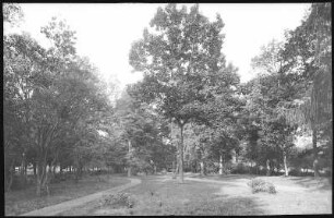 Bad Herzberg. Kurpark