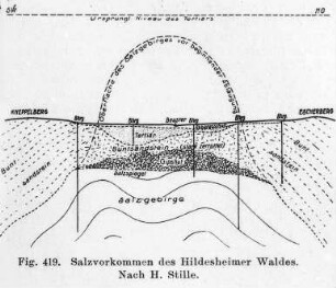 Salzvorkommen des Hildesheimer Waldes, Schema (Stille) : Geologie | Geologie der Salzlagerstätten