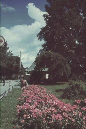 Blumenrabatte in einem Park. Ansicht mit Hinweisschild "Klepper"