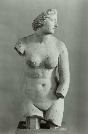 Torso einer Aphrodite