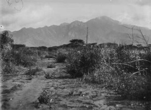 Landschaft : Blick über die Steppe auf die Berge des Pare-Gebirges