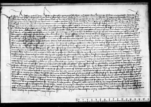 Der Hofrichter zu Rottweil weist Benz Dornhain an, den Grafen Eitelfritz in nützliche Gewere auf die Besitzungen des Grafen Fritz d. Ä. genannt Ötinger zu setzen und ihn darauf zu schirmen.