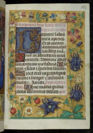 Initialzierseite (Matutin): D(omine labia mea); Trompe l'oeil-Rahmen mit Blütenzweigen und Insekten