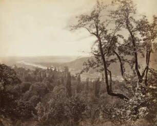 Blick auf Schloss und Neckar