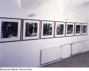 Raumaufnahme : Raumaufnahme mit C-Prints von Peter Land aus der Serie "The Lake" in der Ausstellung: True Fictions - Inszenierte Fotokunst der 1990er Jahre. Kunst Haus Dresden, Galerie für Gegenwartskunst, 16.08.2002-27.10.2002