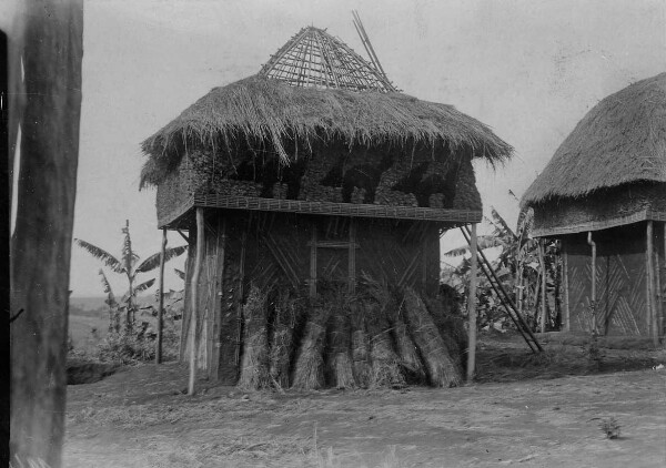 Roofing with grass