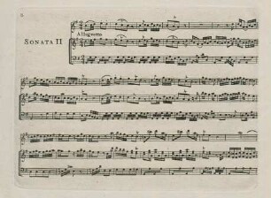8-13 Sonata II