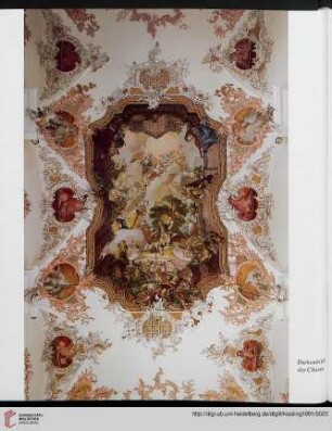 Die Decken- und Wandbilder