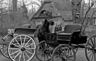 Matthiesen, Anne und Matthiesen, Hans-Gert: Kutschensammler: Dog-Cart und Amerikaner (Baujahr 1921) mit Pferd