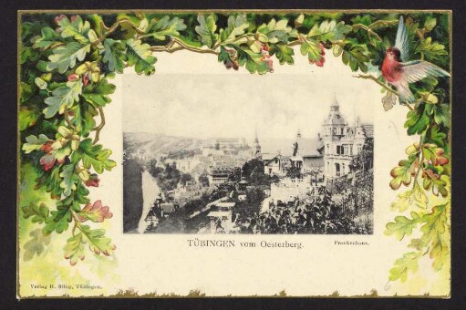 6, Tübingen vom Oesterberg.
