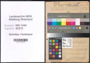 Entnazifizierung Ferdinand Schultze , geb. 14.08.1901 (Steuerberater)