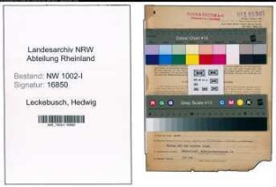 Entnazifizierung Hedwig Leckebusch, geb. 13.10.1885 (Kaufm.Angestellter)