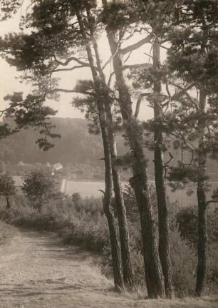 Mittelsächsisches Bergland. Klosterbuch vom Höhenrand östlich des ehemaligen Weinberges