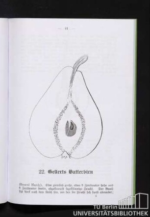 22. Gellerts Butterbirn