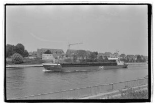 Simone (1982), Thekla Schepers, Haren
