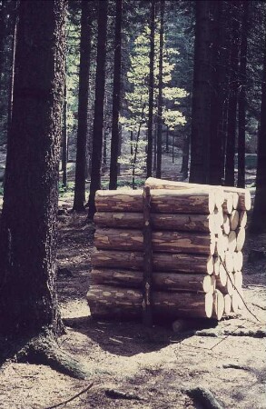 Thüringer Wald. Holzstapel