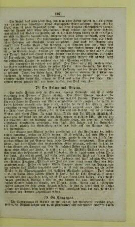 78. Der Solano und Sirocco