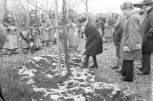 Pflanzung eines Gingko-Baumes durch die Hottscheck-Narrenzunft Grötzingen in der Günther-Klotz-Anlage