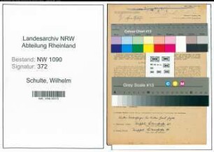 Entnazifizierung Wilhelm Schulte , geb. 15.09.1889 (Desinfektor)