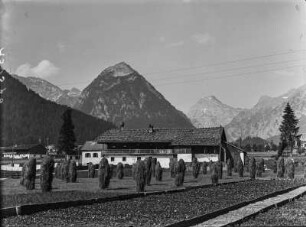 In Pertisau : Felder und Gehöfte des Dorfes Pertisau mit den Bergen Tristkogel und dem Sonnjoch im Hintergrund