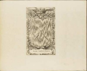 Kupferstich: Insigne Comitatvs Nericiae