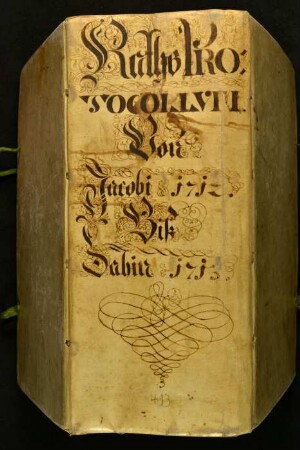 Ratsprotokolle, 1712 Aug. 2. - 1713 Juli 27.