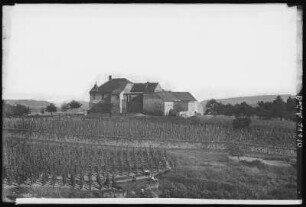 Meißen. Bosel, Vetters Weinschank