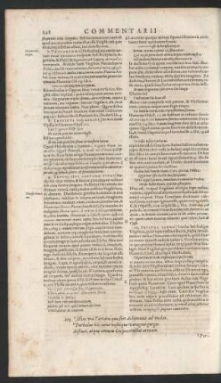 [V. 295-304]