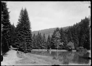 Oberhof. Partie am Silberteich